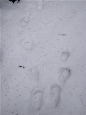 20180308_102535.png