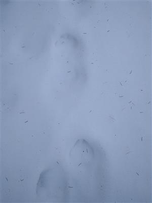 20180311_084935.png