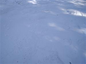 20180324_101405.png