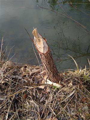20180330_103654.png