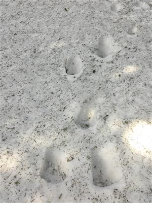 20180412_093301.png