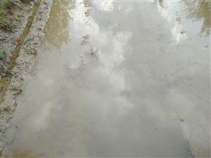 20180430_180832.png