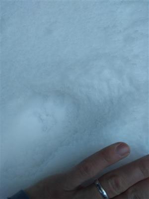 20180322_093819.png