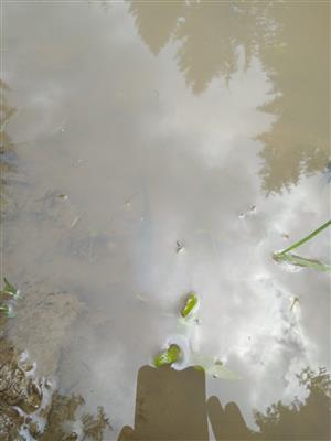 20180626_141440.png