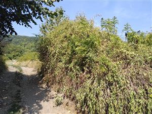 20180807_105738.png