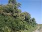 20180807_090335.png