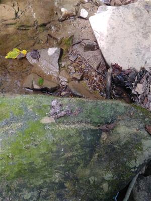 20180822_122639.png