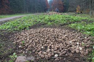 16.10.2018 vnadisko oravice bobrovecká dolina