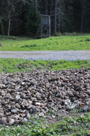 17.10.2018 Oravice Suchá dolina-záver, vnadisko