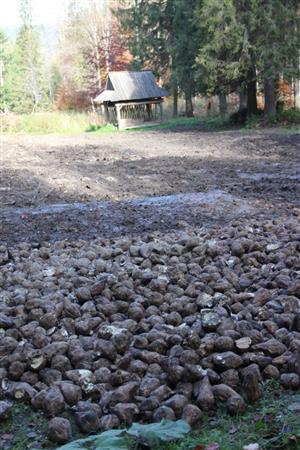 17.10.2018 Oravice, Suchá dolina, Kvasný potok-vnadisko.