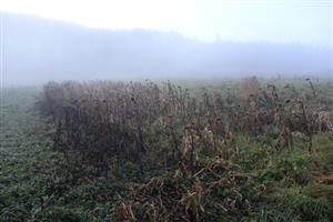 18.10.2018 habovka, blatná, habovská hoľa-vnadisko