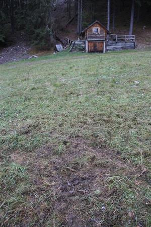 25.10.2018 zverovka vnadisko