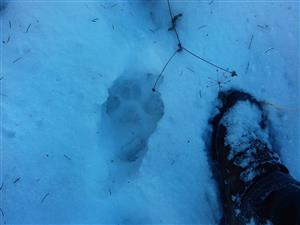20190119_090516.png