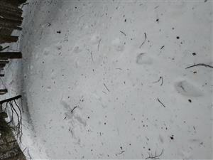 20190125_120414.png