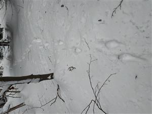 20190125_105319.png