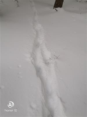 20190130_095244.png