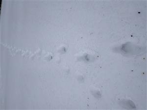20190202_112758.png