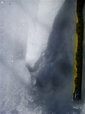 20190214_124521.png