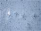 20190228_110153.png