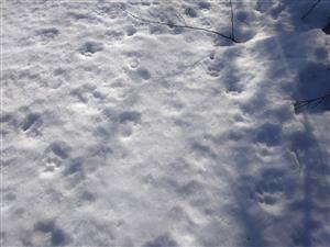 20190228_083841.png