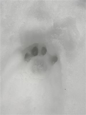 20190320_115233.png