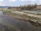 Rieky s bahnitými až piesočnatými brehmi s vegetáciou zväzov Chenopodionrubri p.p. a Bidentition p.p.