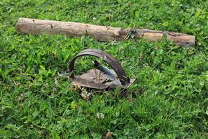 pasca do ktorej sa chytil