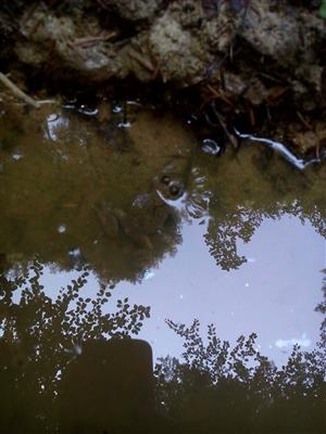 IMG_20190827_112721.jpg