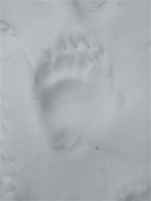 20200308_115308.png