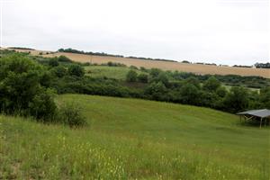 Ploská hora_zatrávnené polia_A