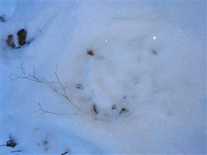 20201202_134458.png