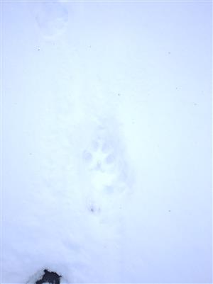 20210127_103600.png