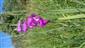 20210707_095743.png