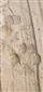 rys ostrovid