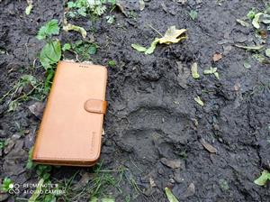 stopa medveďa hnedého