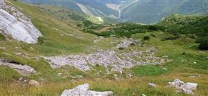 Karbonátové skalné sutiny alpínskeho až montánneho stupňa