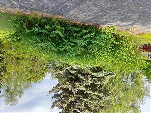 20220606_170341.jpg
