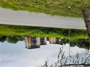 20220620_164115.jpg