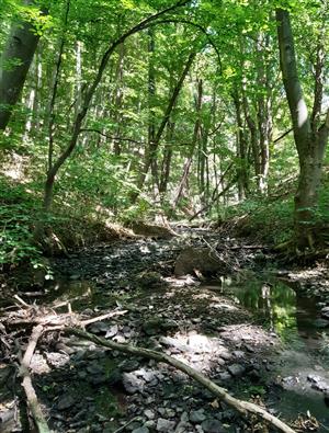 Biotop_Pásikavec veľký_Vydrica
