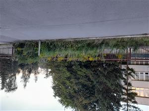 20220815_193057.jpg