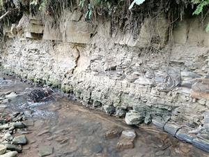 Zaujímavé geologické vrstvy na ľavom brehu v strednej časti úseku