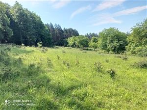 Pohľad na lokalitu.