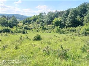 Pohľad na lokalitu.