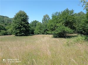 Pohľad na lokalitu.