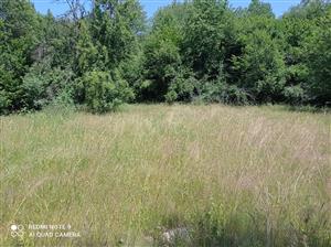 Pohľad na lokalitu.