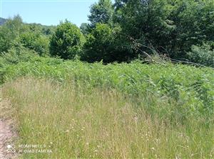 Pohľad na lokalitu.