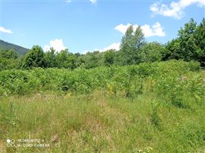 Pohľad na lokalitu.