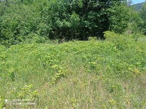 Pohľad na lokalitu.