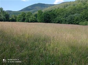 Pohľad na lokalitu.