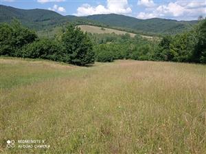 Pohľad na lokalitu.